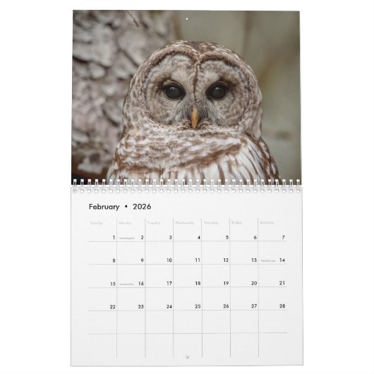 Uilenkalender 2026 kalender (Feb 2026)