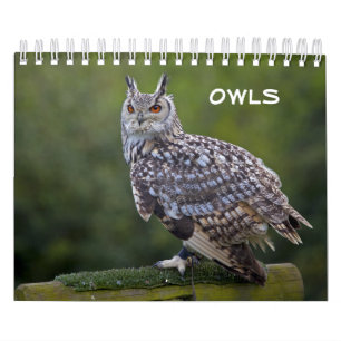 Uilenkalender Kalender