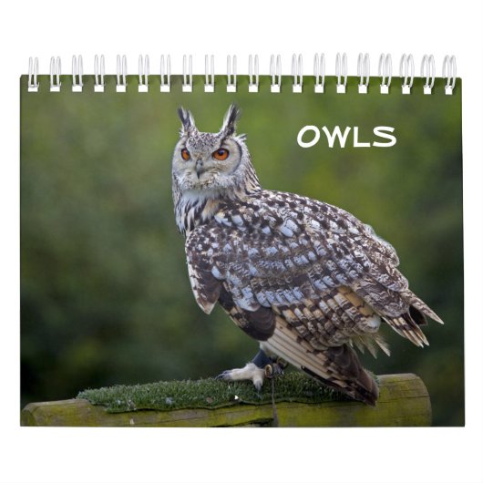 Uilenkalender Kalender (Hoes)