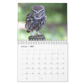 Uilenkalender Kalender (Jan 2027)