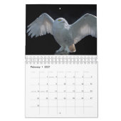 Uilenkalender Kalender (Feb 2027)