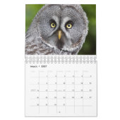 Uilenkalender Kalender (Mar 2027)