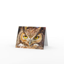 Uilenkop - Ogen (Grote Gehoornde Uil)