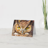 Uilenkop - Ogen (Grote Gehoornde Uil) Kaart (Voorkant)