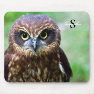 Uilenmuizenmat Muismat