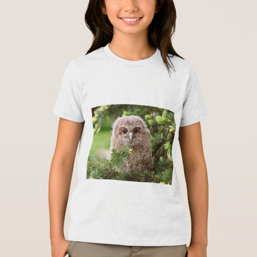 Uilensoorten 11 Tri-Blend shirt (Voorkant)