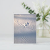 Uilenveer opdruk in de sneeuw briefkaart (Staand voorkant)