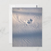 Uilenveer opdruk in de sneeuw briefkaart (Voorkant / Achterkant)