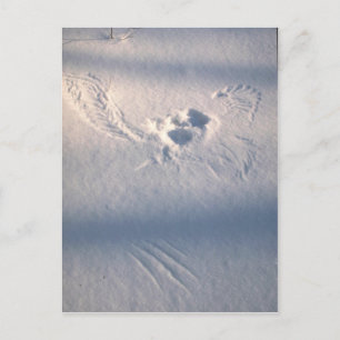 Uilenveer opdruk in de sneeuw briefkaart
