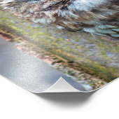 uilfoto foto afdruk (Hoek)