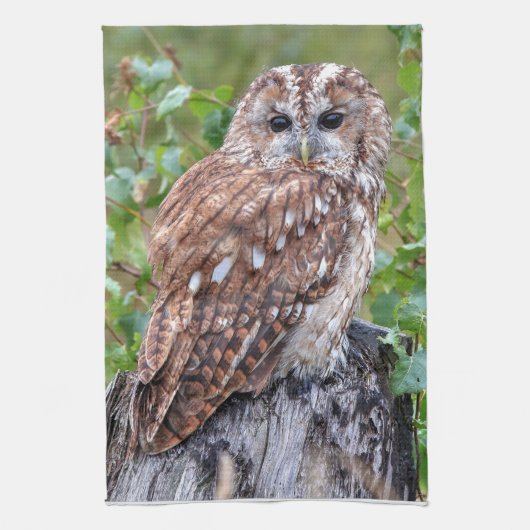 uilfoto theedoek (Verticaal)