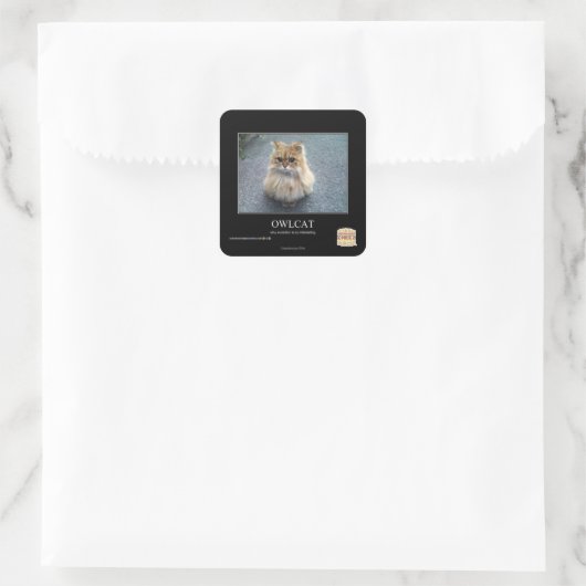 uilskat vierkante sticker (Tas)