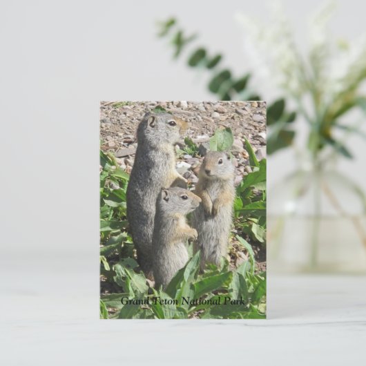 Uinta Ground Squirrel Family Briefkaart (Staand voorkant)