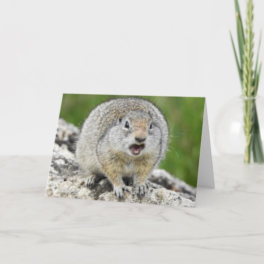 Uinta Ground Squirrel Notecard Kaart (Voorkant)