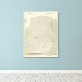 Uinta Mountains Stereogram Canvas Afdruk (Insitu (Houten vloer))