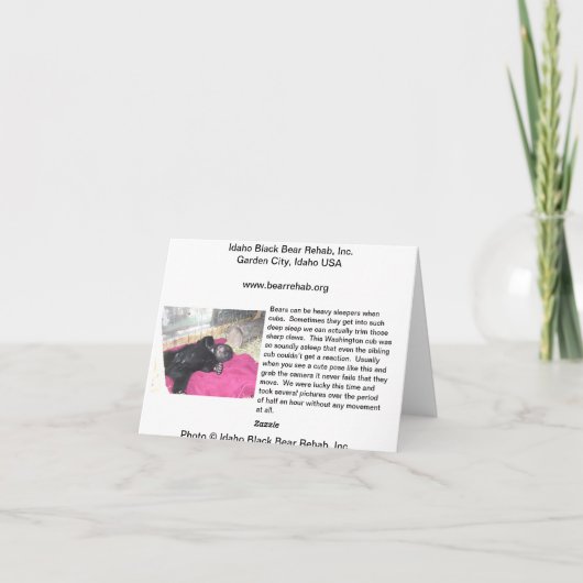 Uit als een Logboek - de Kaart van de Nota (Achterkant)