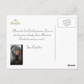 Uit Barbados! Sandy Lane Resort Briefkaart (Achterkant)