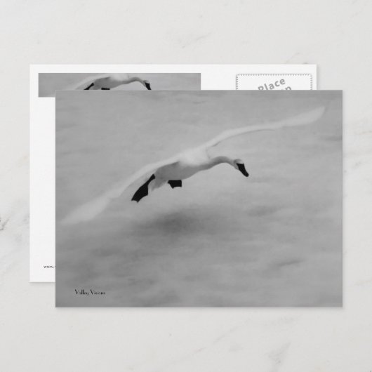 Uit Briefkaart (Voorkant / Achterkant)