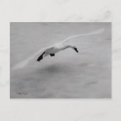 Uit Briefkaart (Voorkant)