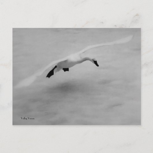 Uit Briefkaart (Voorkant)