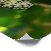 Uit cocons-Poster voortkomende Poster (Hoek)