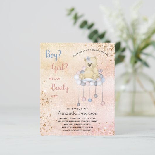 Uit de begroting blijkt dat de baby shower tedy be (Staand voorkant)