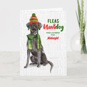 uit de Dog Black Lab Fleas Navidog Kerstmis Feestdagen Kaart