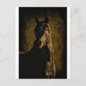 Uit de duisternis briefkaart (Voorkant)