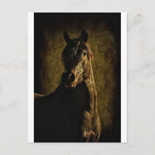 Uit de duisternis briefkaart (Voorkant)