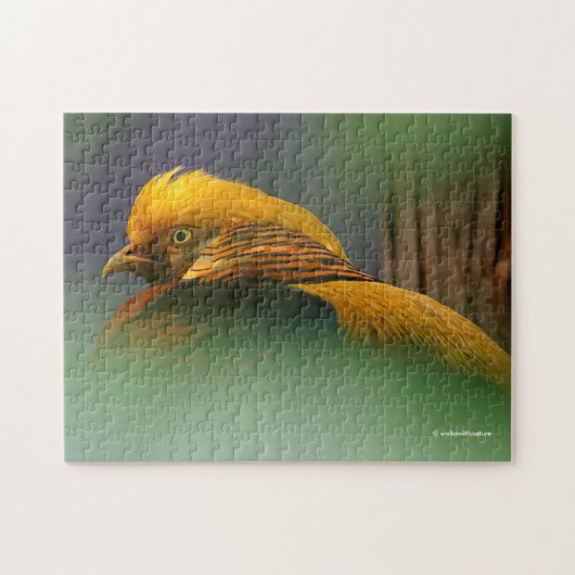 Uit de groenen komt: Golden fazant Legpuzzel (Horizontaal)