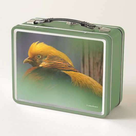 Uit de Groenen komt: Golden Pheasant (Achterkant)