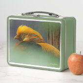 Uit de Groenen komt: Golden Pheasant (In situ)