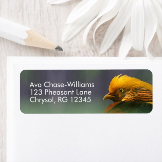 Uit de Groenen komt: Golden Pheasant Etiket (Insitu)