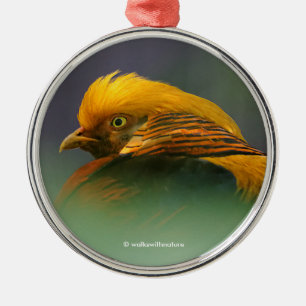 Uit de Groenen komt: Golden Pheasant Metalen Ornament