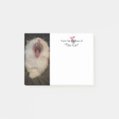 Uit de kattenbak: Custom Funny Cat Memo Post-it® Notes (Voorkant)