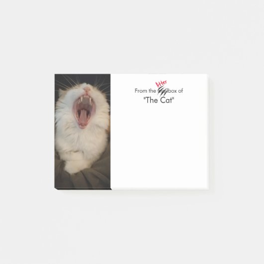 Uit de kattenbak: Custom Funny Cat Memo Post-it® Notes (Voorkant)