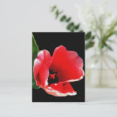 Uit de tuin Briefkaarten (Staand voorkant)