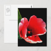 Uit de tuin Briefkaarten (Voorkant / Achterkant)