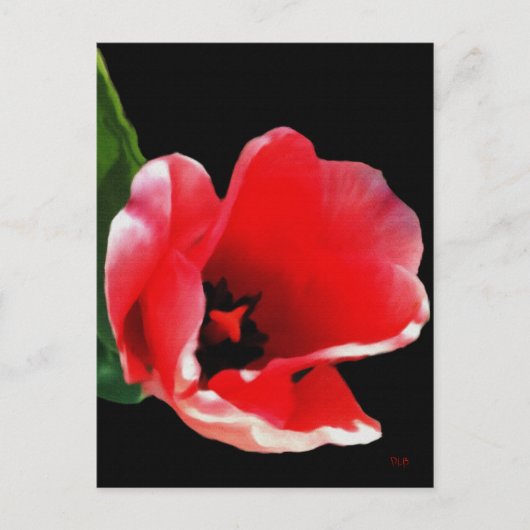 Uit de tuin Briefkaarten (Voorkant)