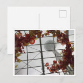 Uit de tuin kamer briefkaart (Voorkant / Achterkant)