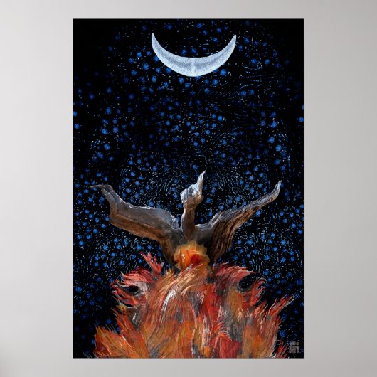Uit de vlammen: Phoenix Rising Print-Poster Poster (Voorkant)