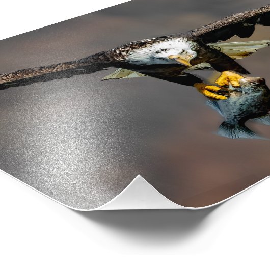 Uit de weg, adelaar met vis foto afdruk (Hoek)