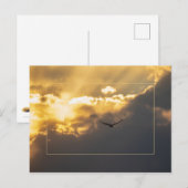 Uit de zonnepool met de grens briefkaart (Voorkant / Achterkant)