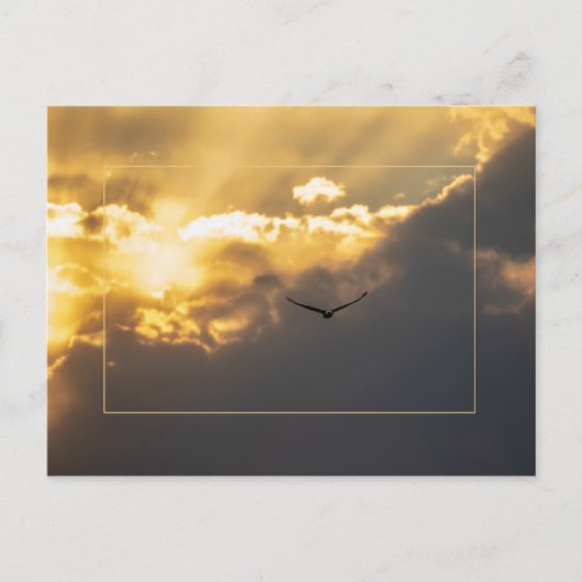 Uit de zonnepool met de grens briefkaart (Voorkant)