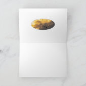 Uit de zonnepool met de grens kaart (Binnen)