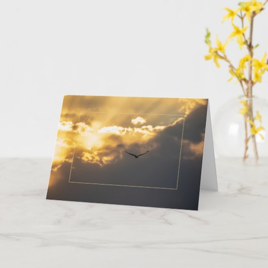 Uit de zonnepool met de grens kaart (Gele Bloem)