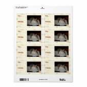 Uit gebrek aan belangstelling etiket (Full Sheet)