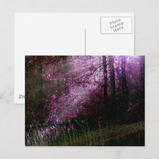 Uit het donkere Briefkaart (Voorkant / Achterkant)