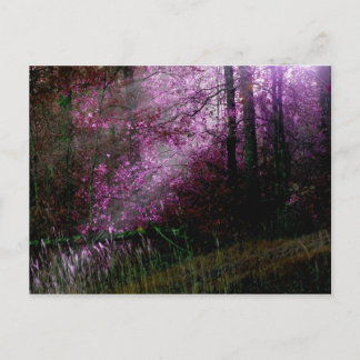 Uit het donkere Briefkaart