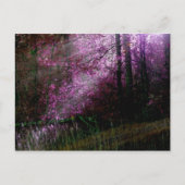 Uit het donkere Briefkaart (Voorkant)